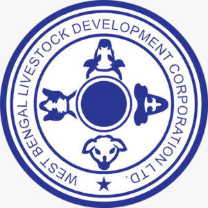 brand-logo-3